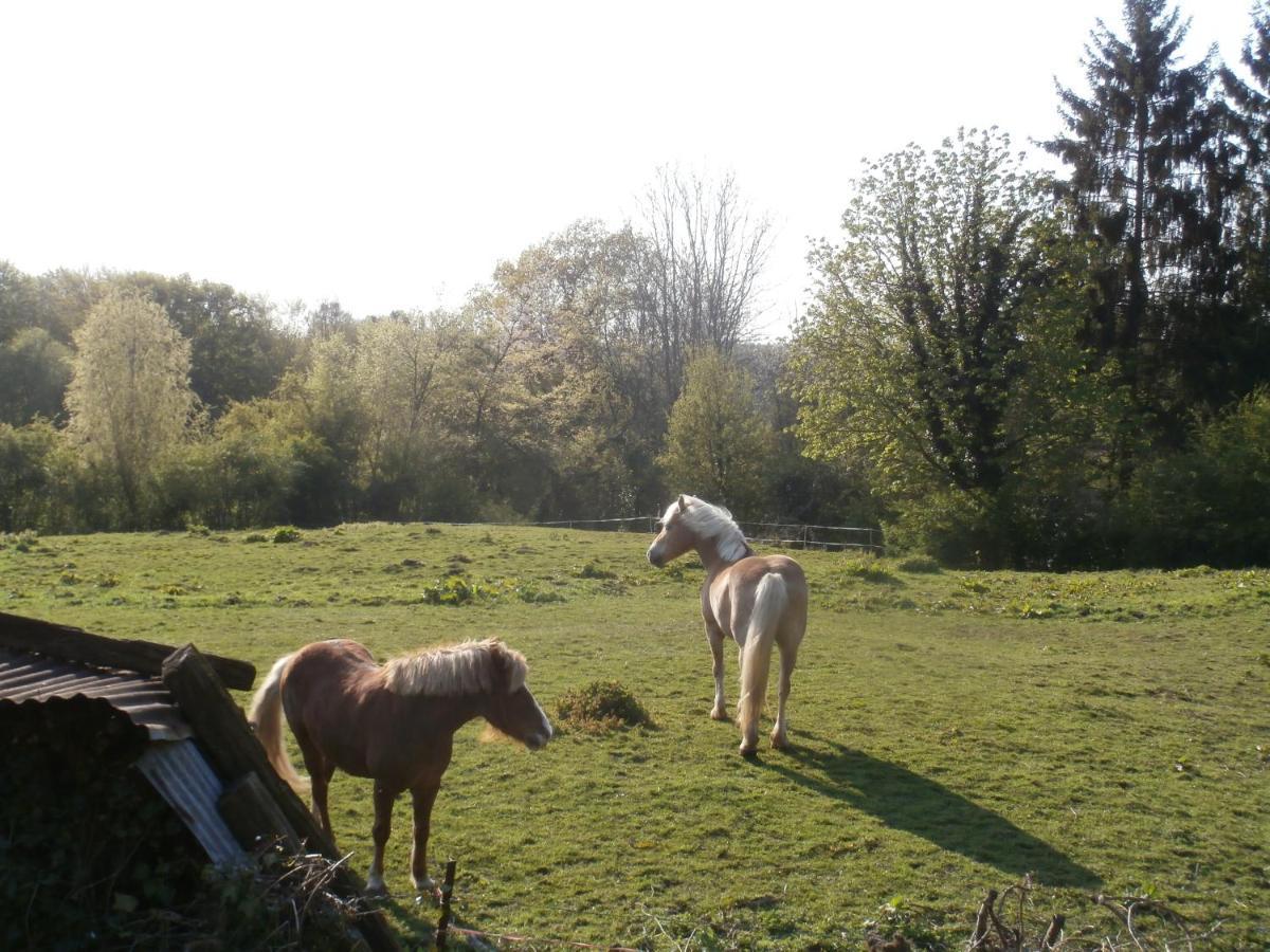 L'Ermite Bed & Breakfast Saint-Algis Exterior foto